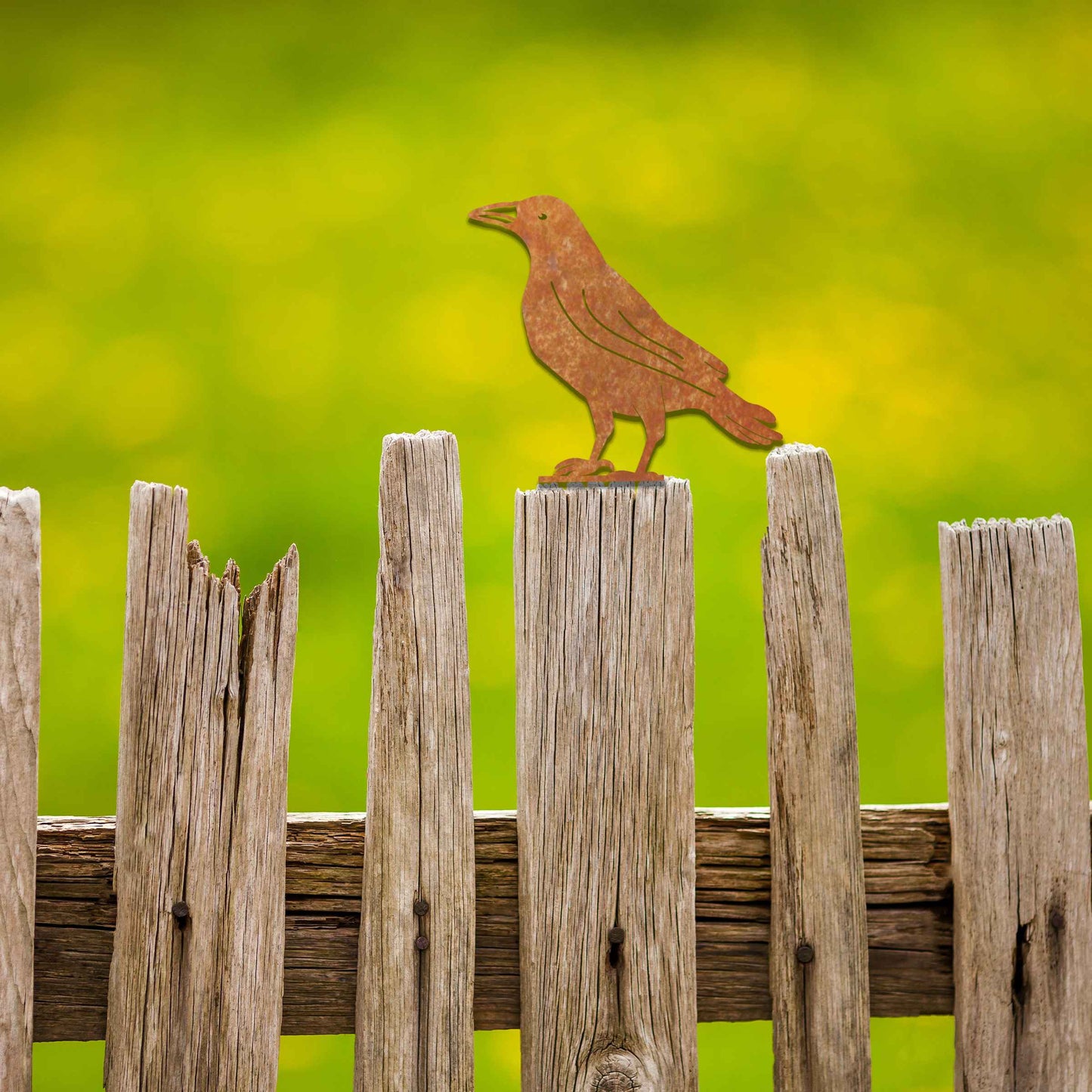 Metal garden decoration featuring a crow silhouette with a rustic finish, designed to sit atop fences or garden posts, adding a bold and distinctive touch to outdoor spaces.
