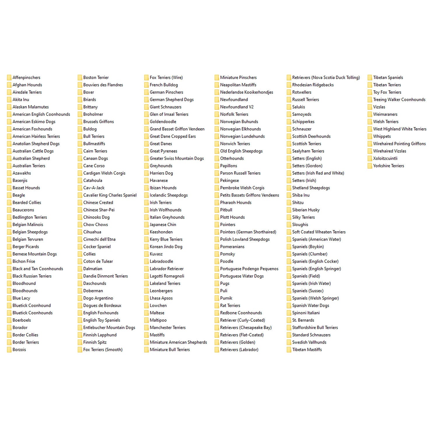 List of dog breeds available in the shop, including various terriers, collies, spaniels, shepherds, hounds, and other popular dog breeds.