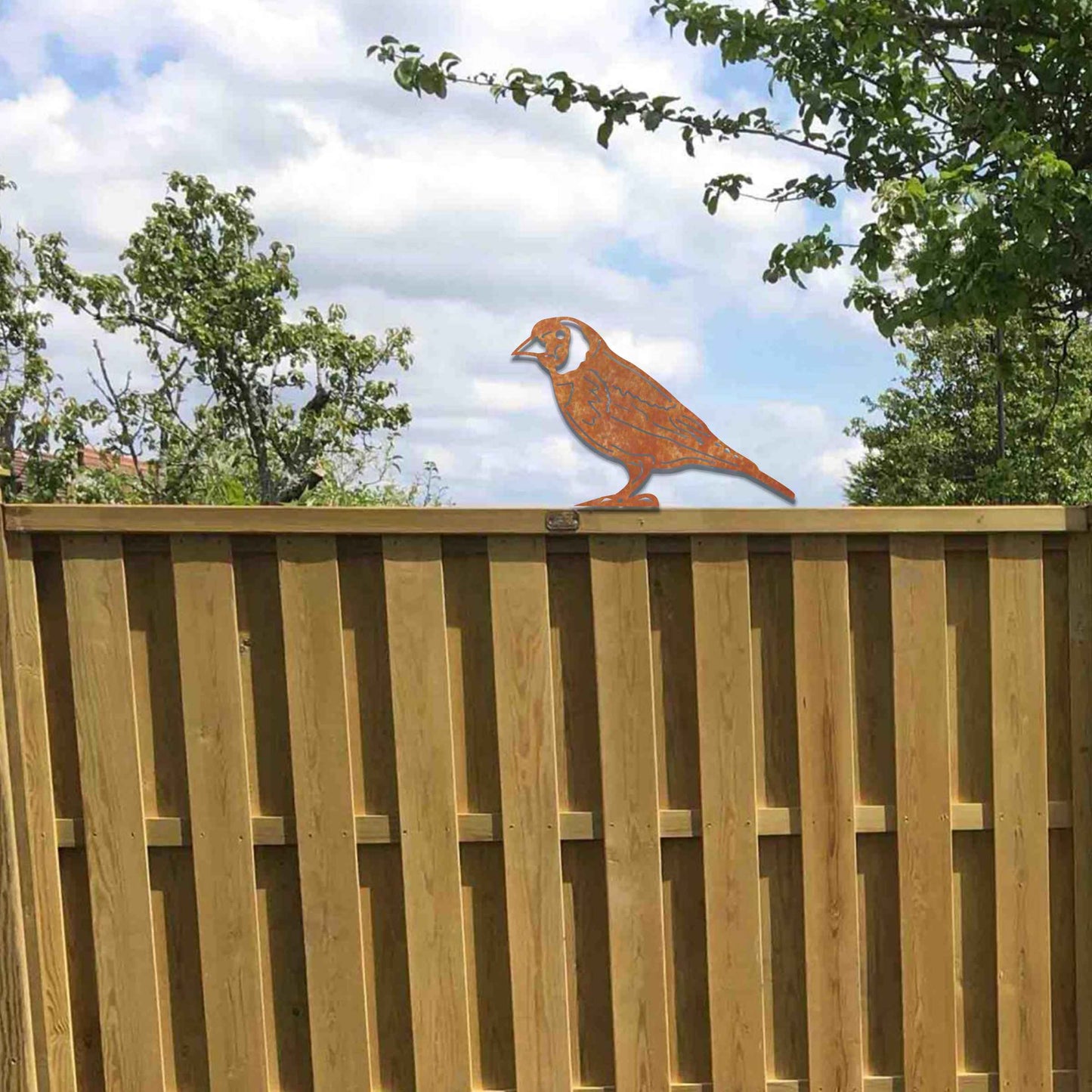 Metal garden decoration featuring a bird silhouette with a rustic finish, designed to sit atop fences or garden structures, adding a natural and artistic accent to outdoor spaces.