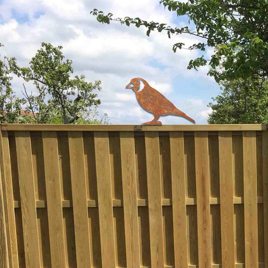 Metal garden decoration featuring a bird silhouette with a rustic finish, designed to sit atop fences or garden structures, adding a natural and artistic accent to outdoor spaces.