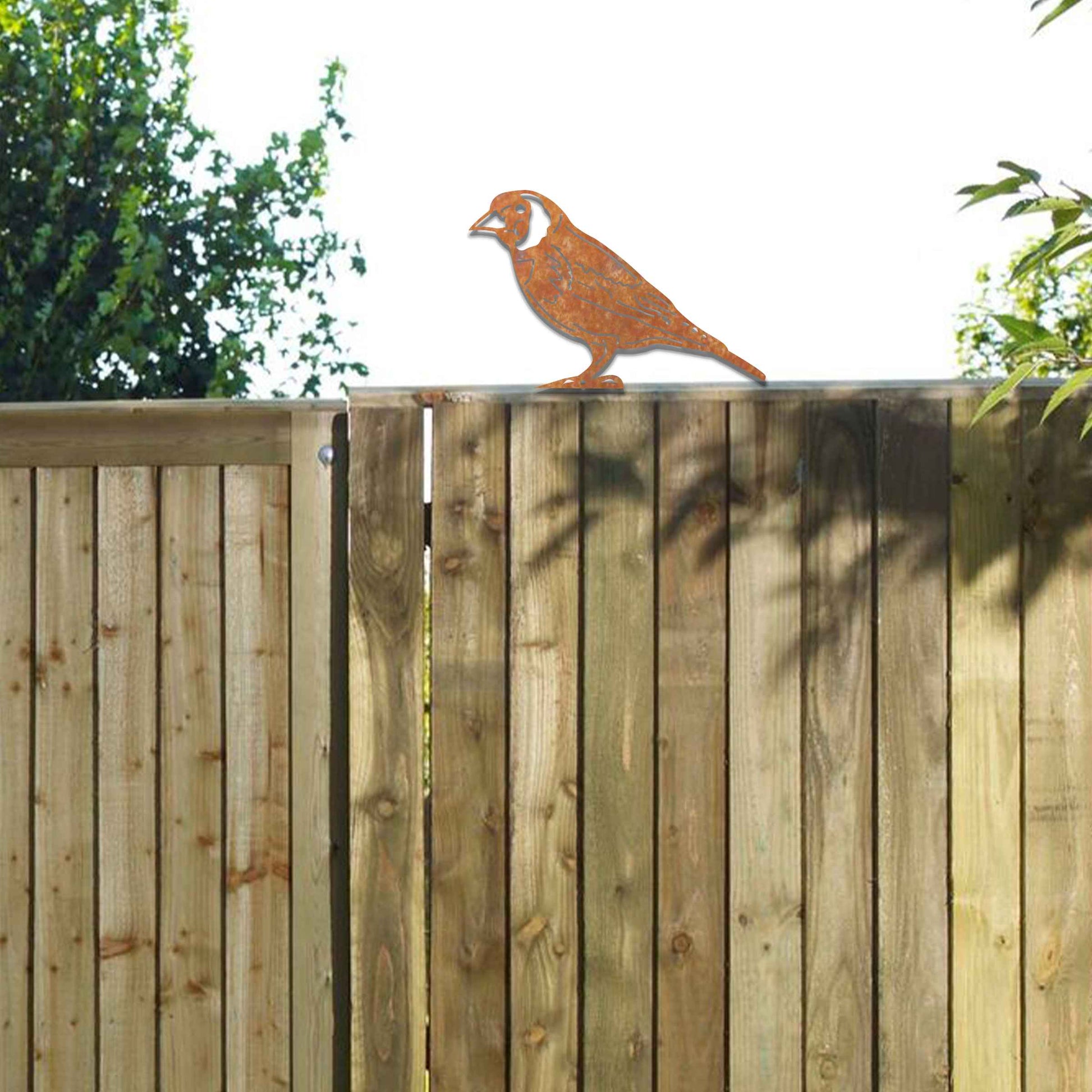 Metal garden decoration featuring a bird silhouette with a rustic finish, designed to sit atop fences or garden structures, adding a natural and artistic accent to outdoor spaces.