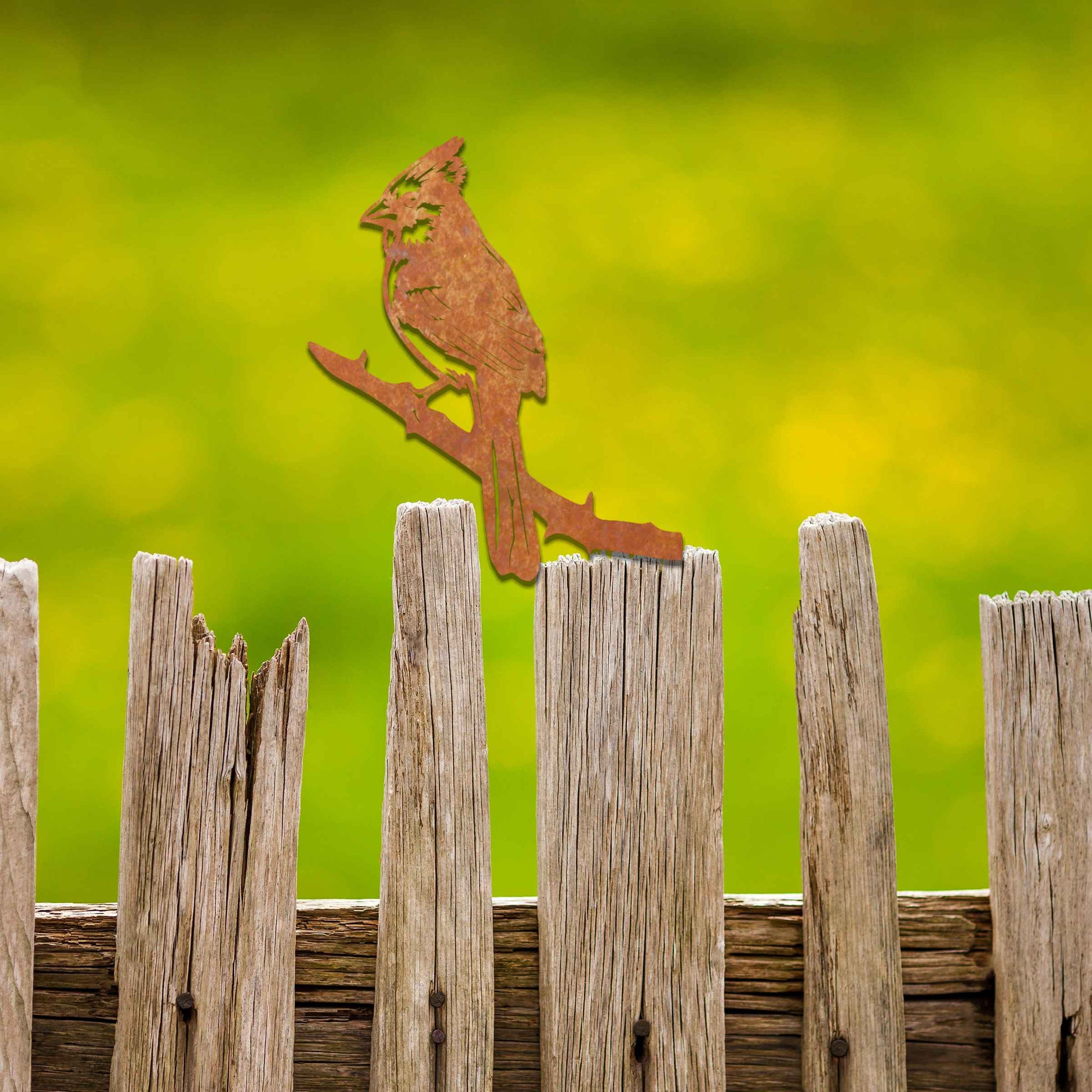 Metal garden decoration featuring a cardinal perched on a branch with intricate cutout details and a rustic finish, designed to enhance wooden fences or gates, adding a striking and natural accent to outdoor spaces.